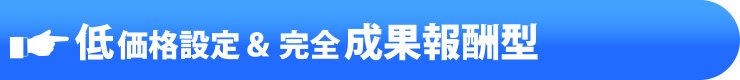 低価格設定&完全成果報酬型