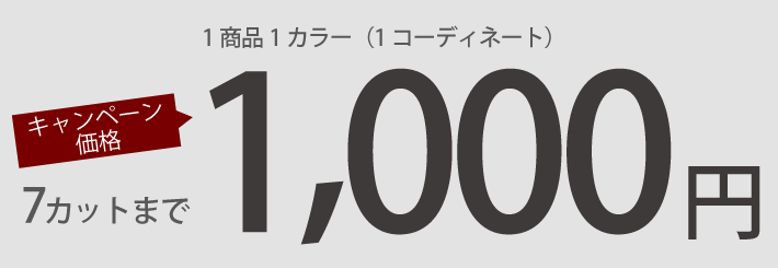 キャンペーン価格 1商品1カラー(1コーディネート) 7カットまで 1,000円