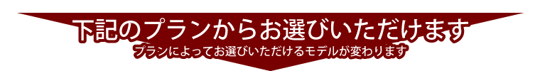 下記のプランからお選びいただけます プランによってお選びいただけるモデルが変わります