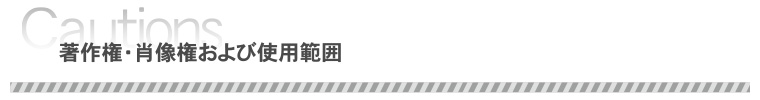 著作権・肖像権および使用範囲