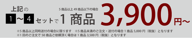 上記の1~4セットで1商品3,900円~