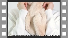 テンプレート動画撮影サンプル3