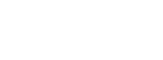 株式会社バーチャルイン